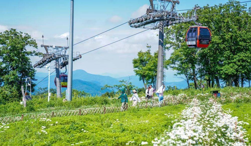 财经聚焦 | 暑期游开启，哪些“文旅大餐”等你品尝？